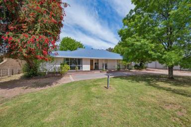 House For Sale - VIC - Nichols Point - 3501 - BRING YOUR TOOLS & PAINT BRUSHES (Image 2)