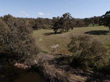 Residential Block For Sale - VIC - Pyalong - 3521 - Pyalong Land for Sale  (Image 2)
