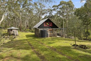 Lifestyle For Sale - VIC - Carpendeit - 3260 - Off-Grid Lifestyle Retreat Among Nature's Wonderland  (Image 2)