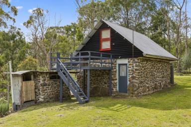 Lifestyle For Sale - VIC - Carpendeit - 3260 - Off-Grid Lifestyle Retreat Among Nature's Wonderland  (Image 2)
