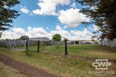 Residential Block For Sale - NSW - Glen Innes - 2370 - Space, Potential and Convenience  (Image 2)