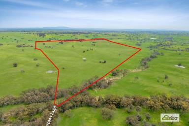 Residential Block For Sale - VIC - Glenhope - 3444 - Unparalleled Privacy and Potential (Image 2)