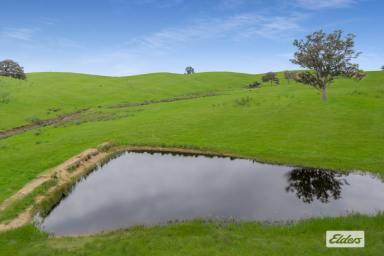 Residential Block For Sale - VIC - Glenhope - 3444 - Unparalleled Privacy and Potential (Image 2)