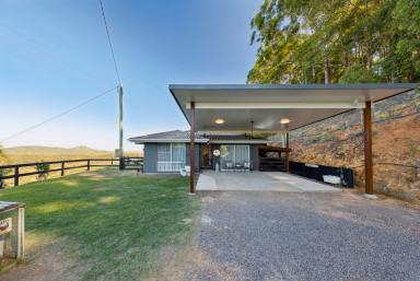House For Sale - QLD - North Arm - 4561 - Hinterland Views, Dual Living & Room to Grow  (Image 2)