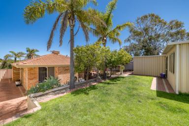 House For Sale - WA - Clarkson - 6030 - A WHOLE LOT OF OPPORTUNITY!  (Image 2)
