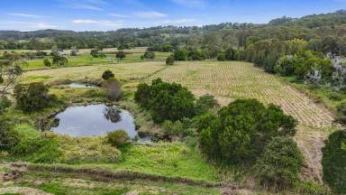 House For Sale - QLD - Coondoo - 4570 - East-Side Opportunity  (Image 2)