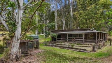 House For Sale - QLD - Coondoo - 4570 - East-Side Opportunity  (Image 2)