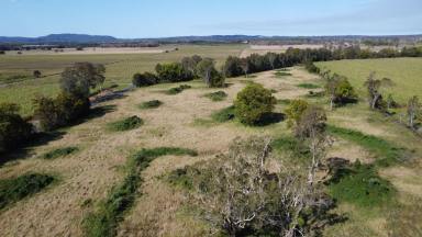 Mixed Farming For Sale - NSW - East Coraki - 2471 - Vacant Rural property - 47 acres (Image 2)