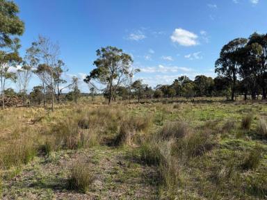 Residential Block For Sale - QLD - Amiens - 4380 - Prime rural property on the Granite Belt  (Image 2)