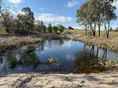 Residential Block For Sale - QLD - Amiens - 4380 - Prime rural property on the Granite Belt  (Image 2)
