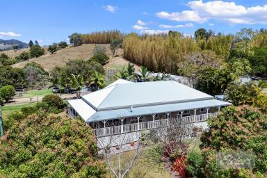 House For Sale - QLD - McIntosh Creek - 4570 - Character, Charm & 16.3 Acres of Rolling Hinterland (Image 2)