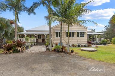 House For Sale - QLD - McIntosh Creek - 4570 - Character, Charm & 16.3 Acres of Rolling Hinterland (Image 2)