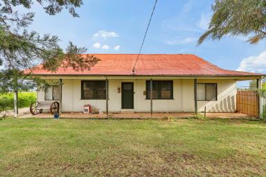 House For Sale - VIC - Merbein - 3505 - Big on Space. Even Bigger on Possibility.  (Image 2)