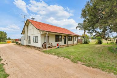 House For Sale - VIC - Merbein - 3505 - Big on Space. Even Bigger on Possibility.  (Image 2)