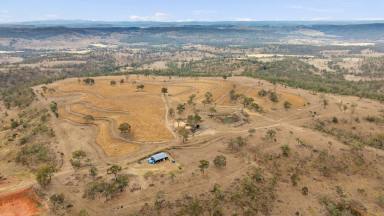 Livestock For Sale - QLD - Coalbank - 4352 - BALLYNEW - OFFERED AS ONE OR THREE SEPARATE TITLES (Image 2)