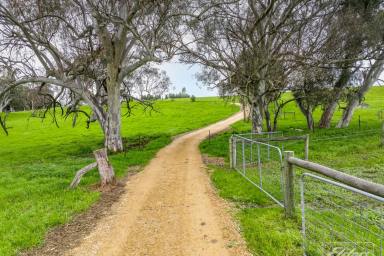 Other (Rural) For Sale - SA - Inman Valley - 5211 - Atwater Farm | Premium Rural Lifestyle Holding with Residence, Water Security & Outstanding Views. Buyer Guide - $1.8m - $1.95m (Image 2)