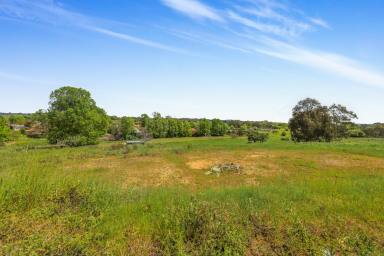 Residential Block For Sale - NSW - Adelong - 2729 - Top of the hill! (Image 2)