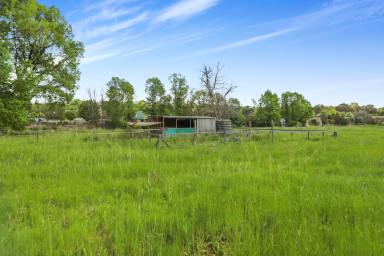 Residential Block For Sale - NSW - Adelong - 2729 - Top of the hill! (Image 2)