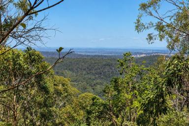 Lifestyle For Sale - NSW - Hogarth Range - 2469 - DEEP IN THE JUNGLE  (Image 2)