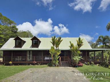 House For Sale - QLD - Julatten - 4871 - A RARE RURAL OPPORTUNITY WITH SPACE, INFRASTRUCTURE & LIFESTYLE APPEAL (Image 2)
