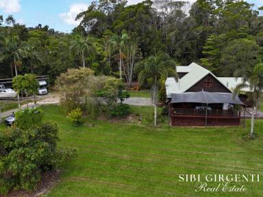 House For Sale - QLD - Julatten - 4871 - A RARE RURAL OPPORTUNITY WITH SPACE, INFRASTRUCTURE & LIFESTYLE APPEAL (Image 2)