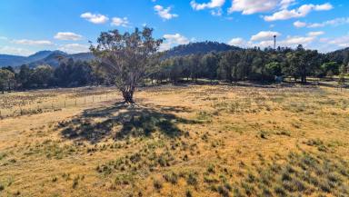 Lifestyle Auction - NSW - Moonbi - 2353 - COMFORTABLE FAMILY LIVING CLOSE TO MOONBI VILLAGE  (Image 2)