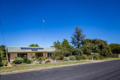 House For Sale - SA - Naracoorte - 5271 - Private Lifestyle Property, Development Potential, Sub-Divide - 4,416m2  (Image 2)