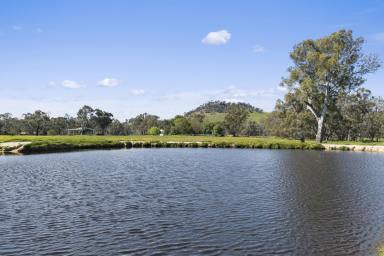 Livestock For Sale - VIC - Gooram - 3666 - "Tinten" One of the Region's Most Productive and Versatile Grazing Enterprises  (Image 2)