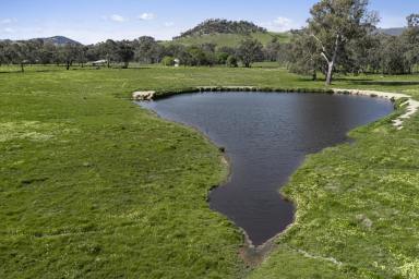 Livestock For Sale - VIC - Gooram - 3666 - "Tinten" One of the Region's Most Productive and Versatile Grazing Enterprises  (Image 2)