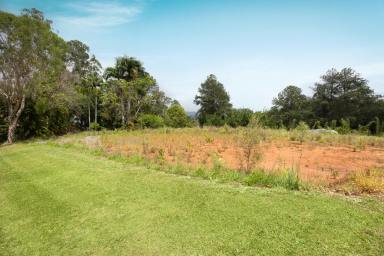 Residential Block For Sale - QLD - Maroochy River - 4561 - Monster Shed, Ready to Build  (Image 2)