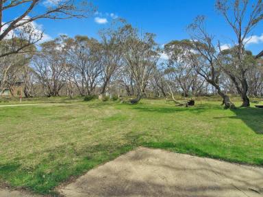 Residential Block For Sale - VIC - Dinner Plain - 3898 - YOUR ALPINE ESCAPE AWAITS IN DINNER PLAIN  (Image 2)