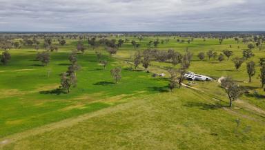 Other (Rural) For Sale - SA - Frances - 5262 - For Sale $6,150,000 (Image 2)