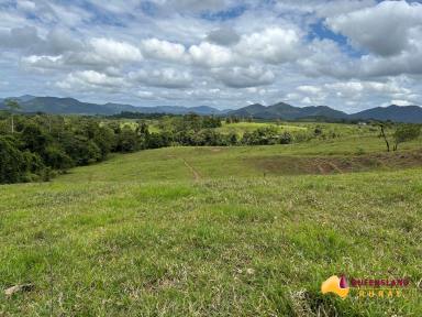 Other (Rural) For Sale - QLD - Utchee Creek - 4871 - Mena Creek & Utchee Creek  (Image 2)