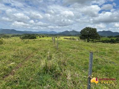 Other (Rural) For Sale - QLD - Utchee Creek - 4871 - Mena Creek & Utchee Creek  (Image 2)