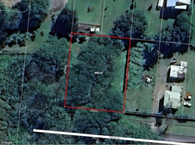 Residential Block For Sale - QLD - Ingham - 4850 - LEAFY 2,039 SQUARE METRE ALLOTMENT ADJOINING TYTO WETLANDS! (Image 2)