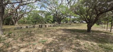 Residential Block For Sale - QLD - Ingham - 4850 - LEAFY 2,039 SQUARE METRE ALLOTMENT ADJOINING TYTO WETLANDS! (Image 2)