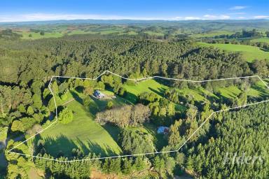 Acreage/Semi-rural For Sale - VIC - Childers - 3824 - Summerrose Farmhouse - Off-Grid Luxury, Natural Beauty & Lifestyle Freedom  (Image 2)