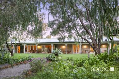 House For Sale - WA - Margaret River - 6285 - Charming Margaret River Lifestyle  (Image 2)
