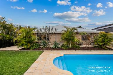House For Sale - WA - Duncraig - 6023 - Your Coastal Family Escape with a Lush Tropical Feel  (Image 2)