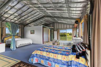 House For Sale - QLD - Pinbarren - 4568 - PRIME NOOSA HINTERLAND PROPERTY  (Image 2)