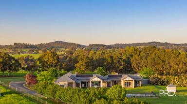 Acreage/Semi-rural For Sale - NSW - Table Top - 2640 - THE COMPLETE LIFESTYLE PACKAGE  (Image 2)