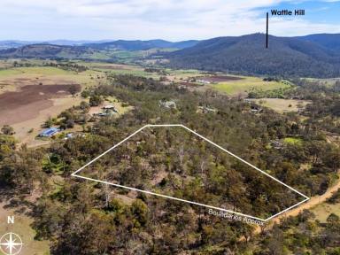 Residential Block For Sale - TAS - Wattle Hill - 7172 - Where Tranquility Meets Possibility (Image 2)