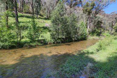 Lifestyle For Sale - VIC - Thowgla Valley - 3707 - THOWGLA CREEK FRONTAGE - ADJOINING MT ELLIOT NATIONAL PARK (Image 2)