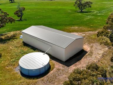 Residential Block For Sale - SA - Springton - 5235 - Prime Barossa rural acreage (32.5 Ha). Build, Farm or Escape. A rare rural opportunity on the fringe of the Barossa Valley  (Image 2)