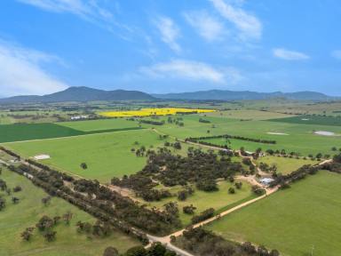 Mixed Farming For Sale - VIC - Ballyrogan - 3375 - FOR SALE FOR THE FIRST TIME IN 140* YEARS  (Image 2)