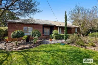 House For Sale - VIC - Stawell - 3380 - Spacious Family Living on a Generous 1,400m² Allotment (Image 2)