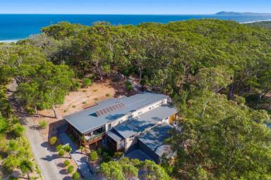 House For Sale - NSW - Dunbogan - 2443 - A Home in a Private Gated Beachside Estate - Near Laurieton - 40 min to Port Macquarie (Image 2)