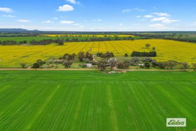 Cropping For Sale - VIC - Wal Wal - 3385 - Exceptional Wimmera Broadacre Opportunity (Image 2)