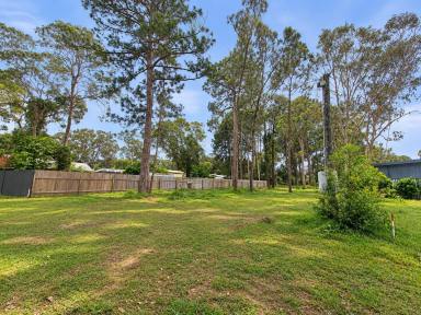 Residential Block For Sale - QLD - Macleay Island - 4184 - Perfectly Positioned 688m² Block in a Peaceful Street  (Image 2)