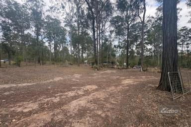 Residential Block For Sale - QLD - Glenwood - 4570 - ROLL UP YOUR SLEEVES AND REAP THE REWARDS  (Image 2)